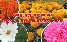 কিছু স্বপ্ন তাকে যা, নিজের স্বপ্ন কে হারিয়ে যায়