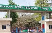 ঢাকায় বাঘের রহস্যজনক মৃত্যু