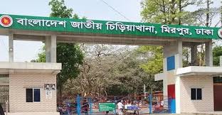 ঢাকায় বাঘের রহস্যজনক মৃত্যু