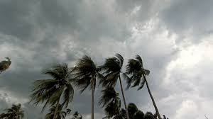 পাঁচ বিভাগে প্রবল বর্ষণের পূর্বাভাস