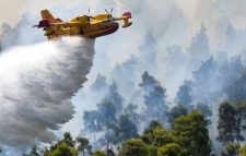 গ্রিসে দাবানল: ৭৯ অগ্নিসংযোগকারী গ্রেপ্তার