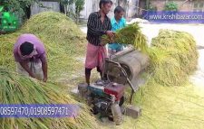 ভারতের চাল রপ্তানি নিষেধাজ্ঞায় খাদ্য সংকটে পড়তে পারে বিশ্ব