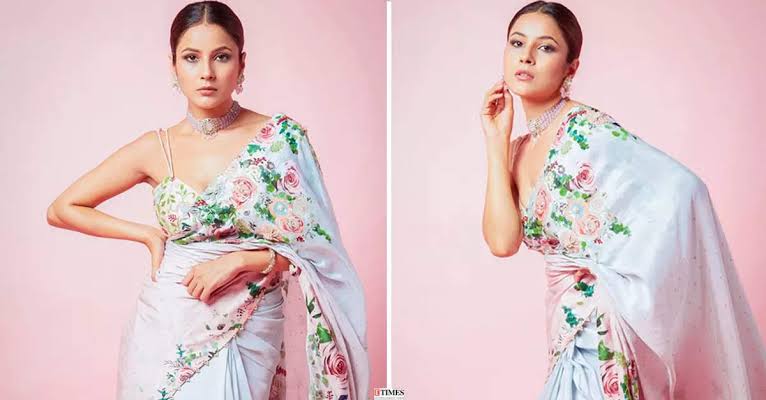 কার কথায় পোশাক খুলতেও রাজি শেহনাজ গিল