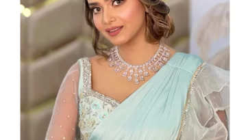 ক্ষমা চেয়ে অভিযোগ তুলে নিলেন তানজিন তিশা