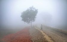 কবে থেকে শীত বাড়বে, জানাল আবহাওয়া অফিস