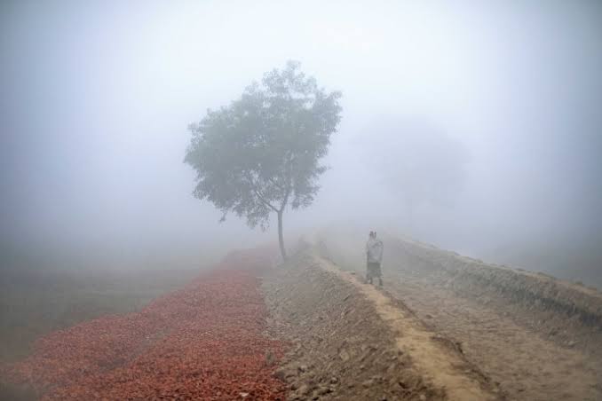 কবে থেকে শীত বাড়বে, জানাল আবহাওয়া অফিস
