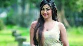 পর্দায় ফিরছেন সিমলা