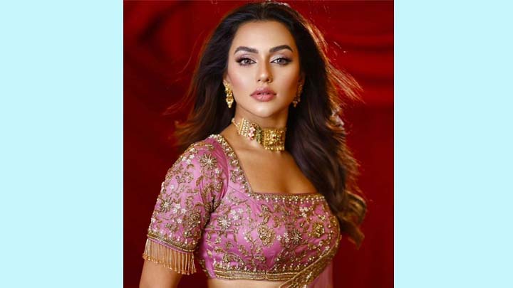 কোথায় আছেন পর্দার হাসিনা