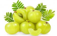 যেভাবে ঘরে তৈরি করবেন আমলকীর আচার