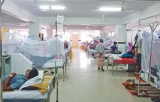 ডেঙ্গুতে আক্রান্ত ৫০ হাজার ছাড়াল