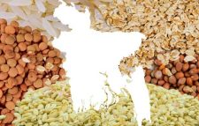 খাদ্যশস্য ঘাটতির আশঙ্কা পরিস্থিতি মোকাবিলা করতে হবে