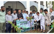 পরিবেশের ভারসাম্য রক্ষায় বৃক্ষরোপণের  বিকল্প নেই: কয়েস লোদী