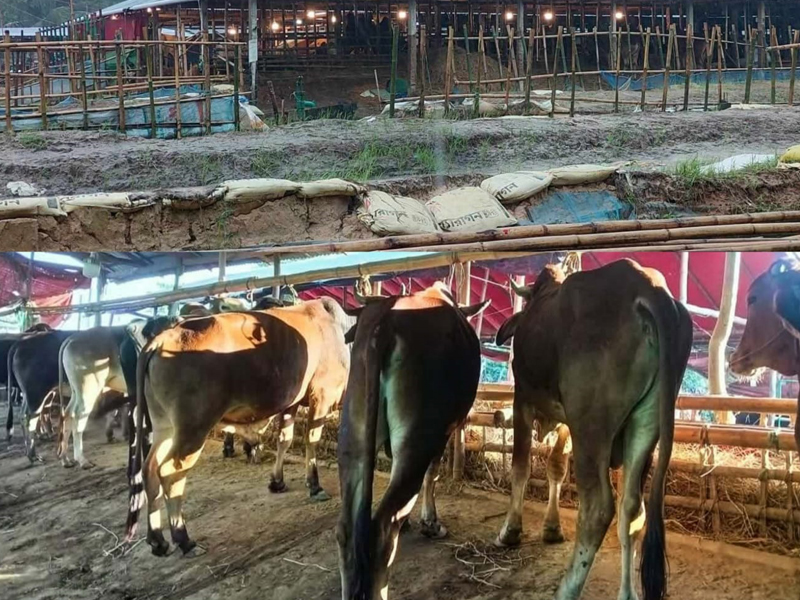 অবৈধ রশিদে অর্থ আদায়ের অভিযোগ