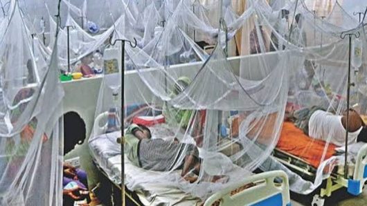 “ডেঙ্গুতে আরও ৪ জনের মৃত্যু, হাসপাতালে ভর্তি ১,৫৫৮”