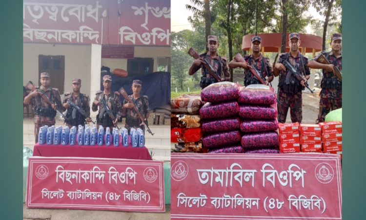 সিলেট সীমান্তে বিজিবির অভিযানে ৪৬ লাখ টাকার চোরাচালানি পণ্য আটক