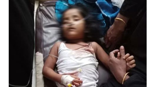 কানাইঘাটে ভারতীয় অবৈধ জিরাবাহী পিকআপের ধাক্কায় শিশু আহত, জিরাসহ গাড়ি জব্দ